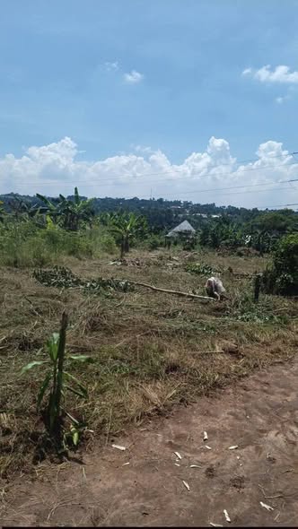 A picture of ANOTHER GOOD DEAL 50X100FTS 10M KIYANA NDEJJE ZONE 40X50fts 4