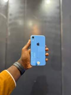 A picture of Xr