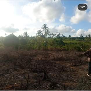 A picture of ENEO LA BARABARANI KIMANZI CHANA