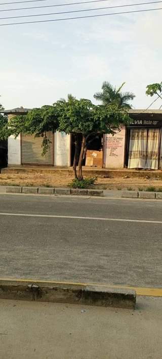 A picture of house