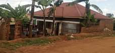 A picture of HOUSE FOR SALE IN KASANGATI AT 30M UGX AS LISTED