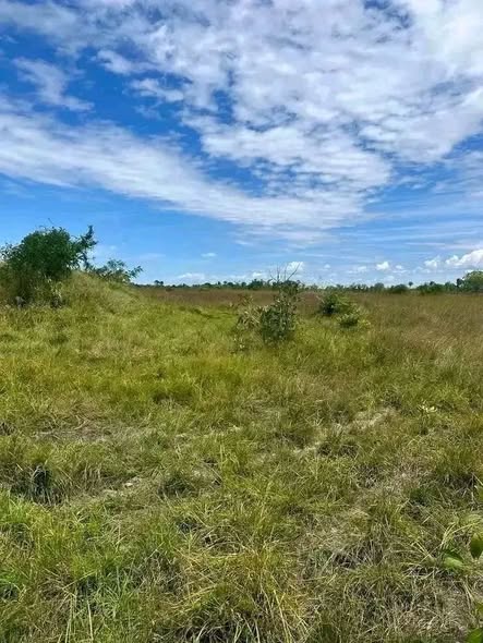 A picture of 35 Acres