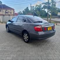A picture of Premio new model