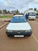 Wainaina J.