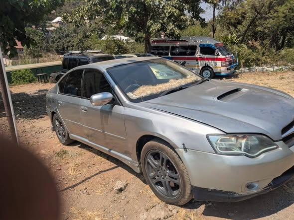 A picture of SUBARU ZURI