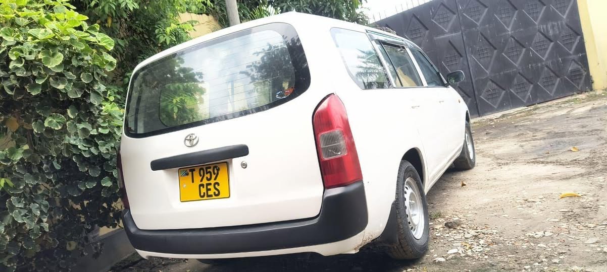 A picture of Toyota probox