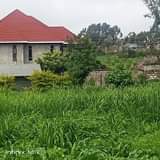 Solomon S.