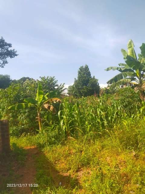 A picture of Acres