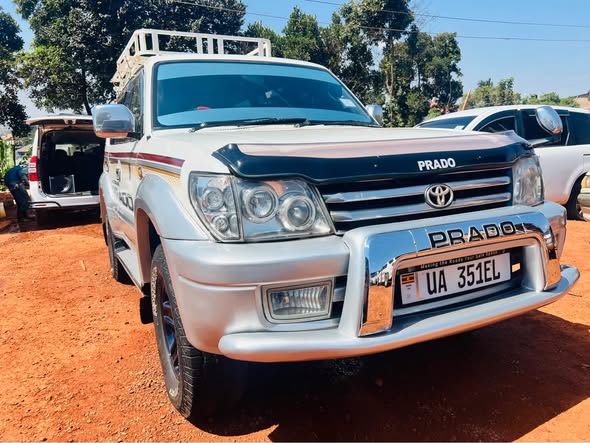 used toyota prado
