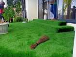 A picture of Grass carpet