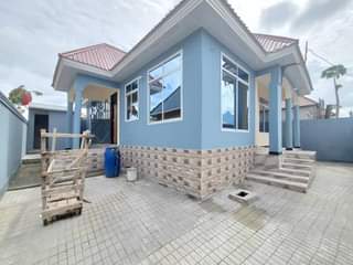 A picture of 0743529702 0656394984