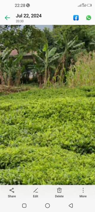 agricultural