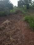 A picture of 60 fertile acres for sale with ready land title sold