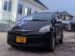 A picture of Miss tz