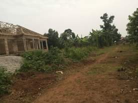 A picture of Quick sale 6m Plot size 40by30ft located at matugga Kigogwa