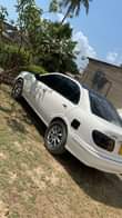 A picture of Nissan bluebird