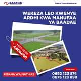 A picture of SARAVAI REAL ESTATE COMPANY LIMITED NI WAUZAJI WA VIWANJA VILIVYOPIMWA
