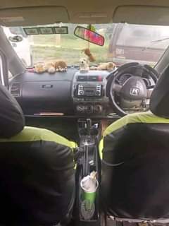 used honda fit