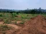 A picture of Land