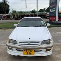 A picture of Premio