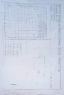 chisamba