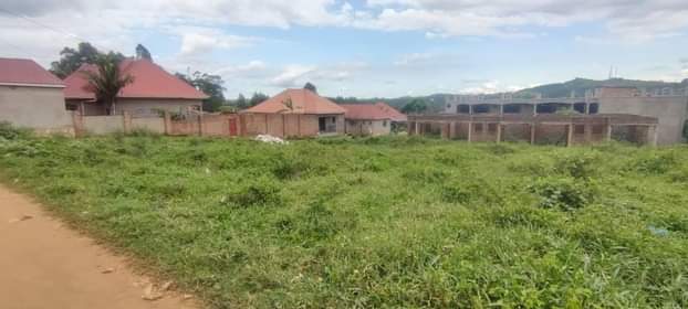 A picture of 50x100 feet at Kitende Mazzi. Developed area with ready title.