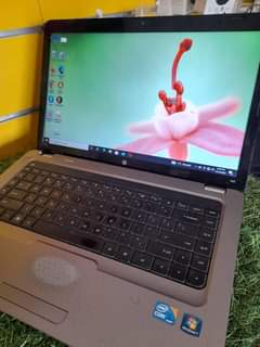Bra J.