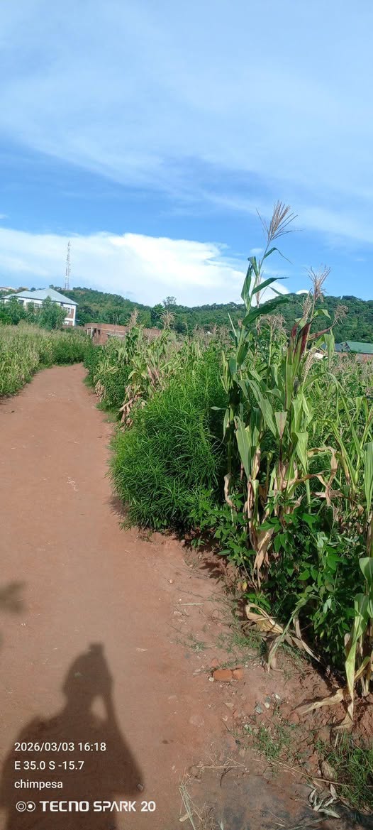 land