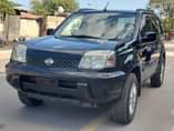 A picture of Nissan xtail