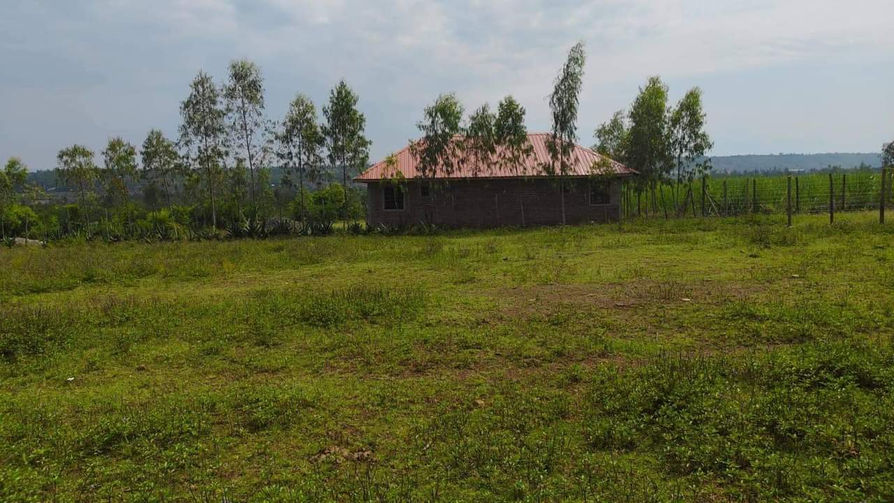 Shillah K.