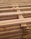 A picture of Timber suppliers