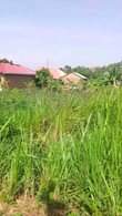 A picture of 8 5m Plot on sale 8 5m located Entebbe rd