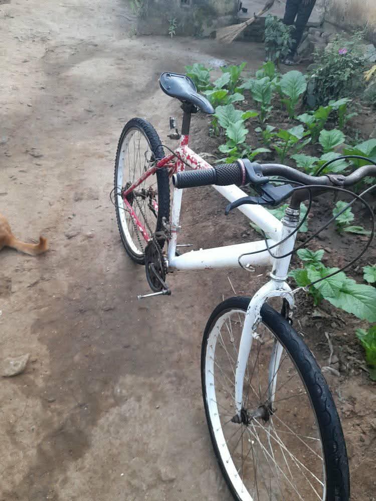 bicycle
