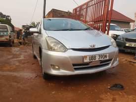 A picture of well mantained wish on sell