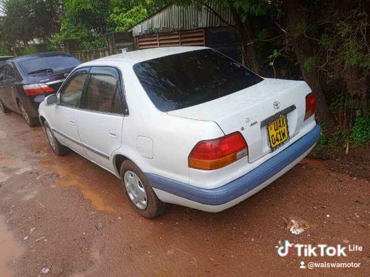 toyota kikumi