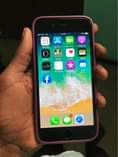 A picture of iphone 6plain