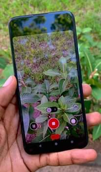 A picture of Google pixel 4a