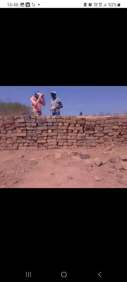 bricks