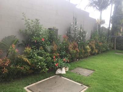 A picture of Rachels outdoor flowers designs