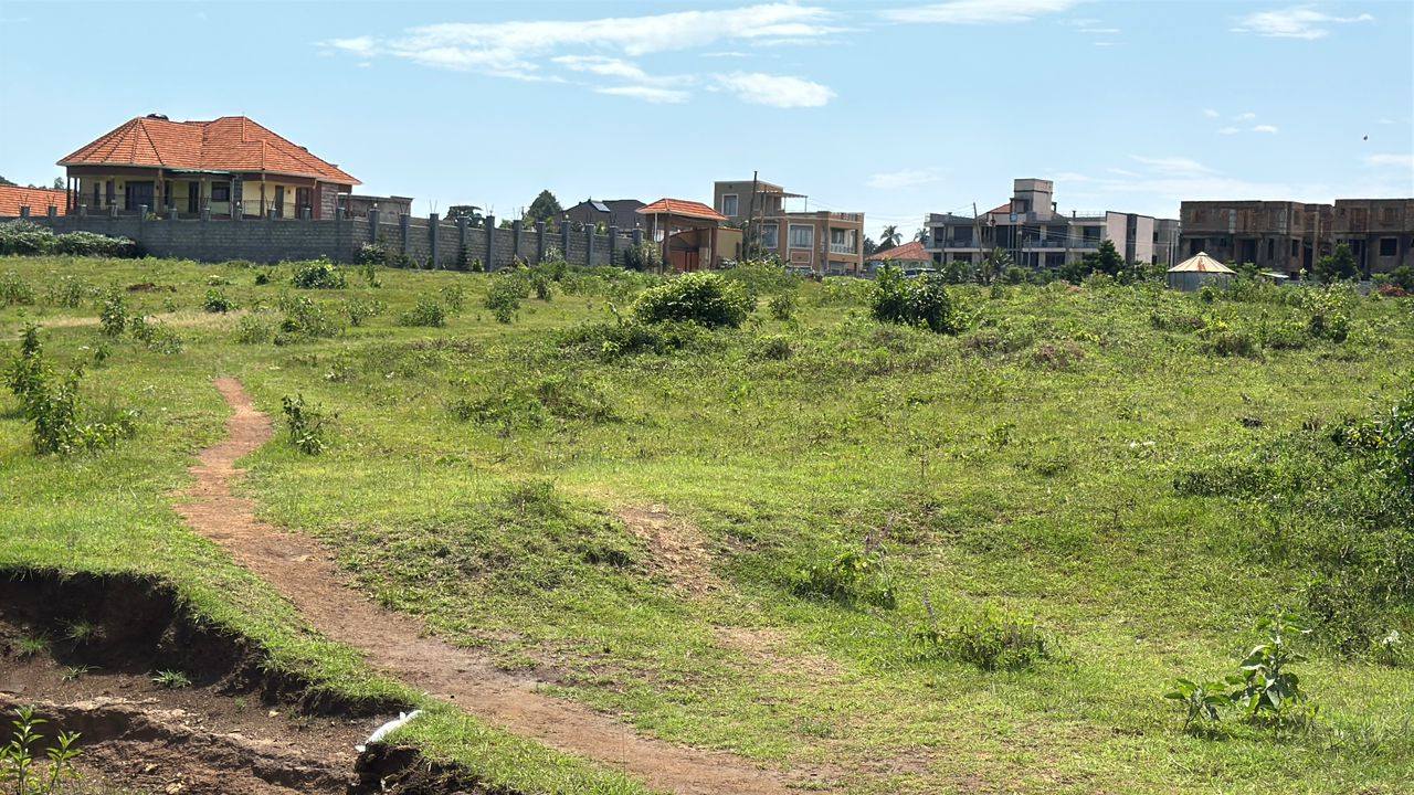 A picture of Plots and Houses for sell