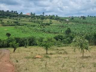A picture of MIGHTY RUKUUBA PHASE 3 AT 7 5Million 0702112634