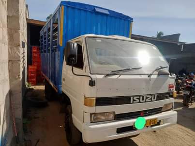 A picture of isuzu