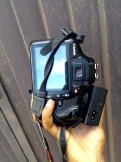A picture of Canon 1300D