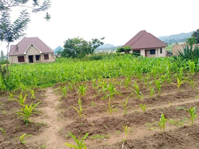 A picture of Kiwanja kinauzwa Mwanza Nyashishi center