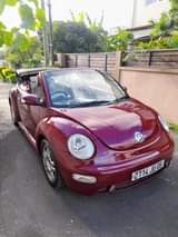 vw beetle
