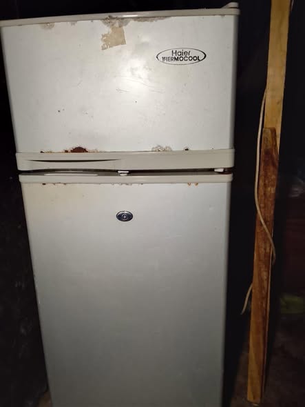 A picture of Freezer