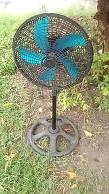 fans