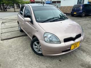 A picture of Vitz