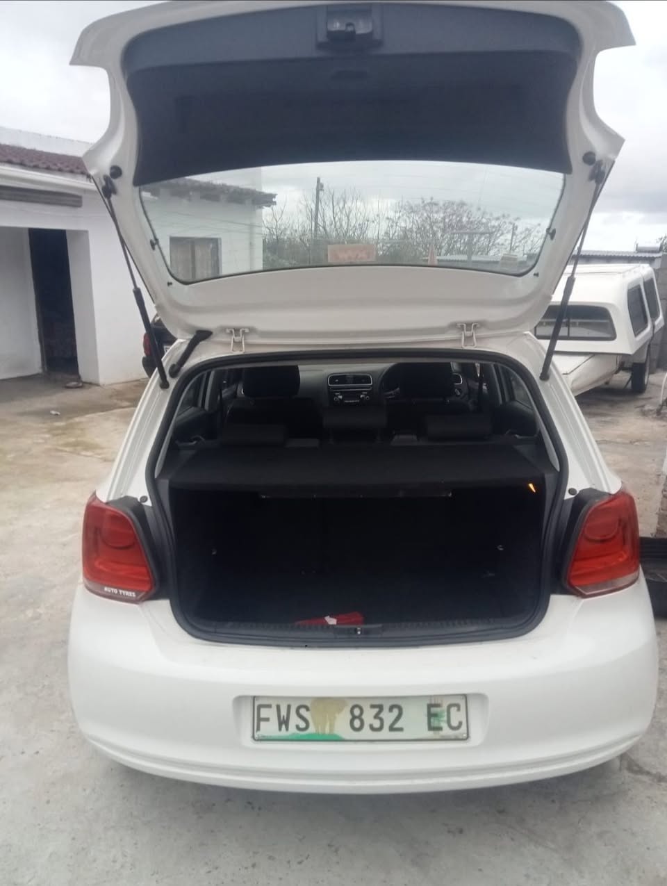 polo vivo