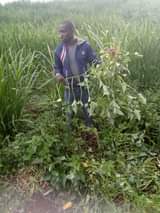 Kipngetich C.
